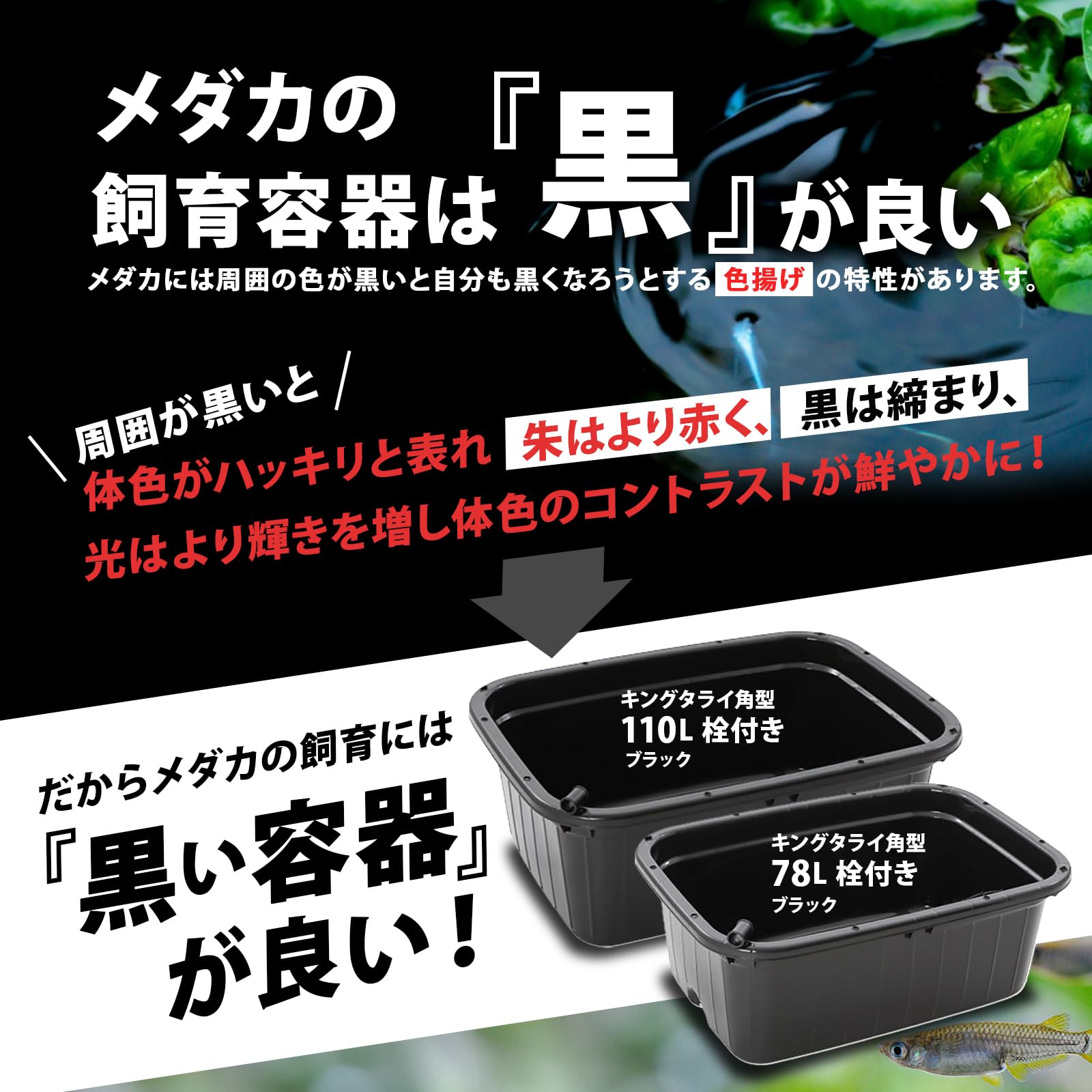 Amazon.co.jp: サンコープラスチック(SankoPlastic) タライ キング